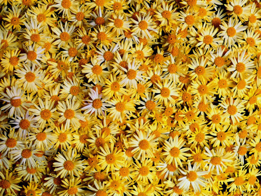 420489 (a): :1600x1200